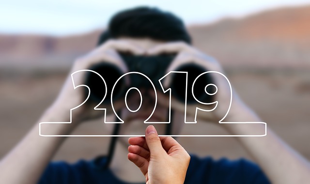 Restructuring and Insolvency predictions for 2019