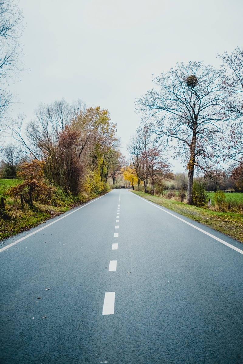 Placeholder alt text